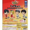 Haikyu!! Look this Way Figure Otokoma Highschool Fukurotani Gakuen Highschool - 30pc assort pack
