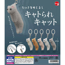 Kyatorare Cat Small Eyecatch - 50pc assort pack [Pre Order December 2025][2nd Chance]