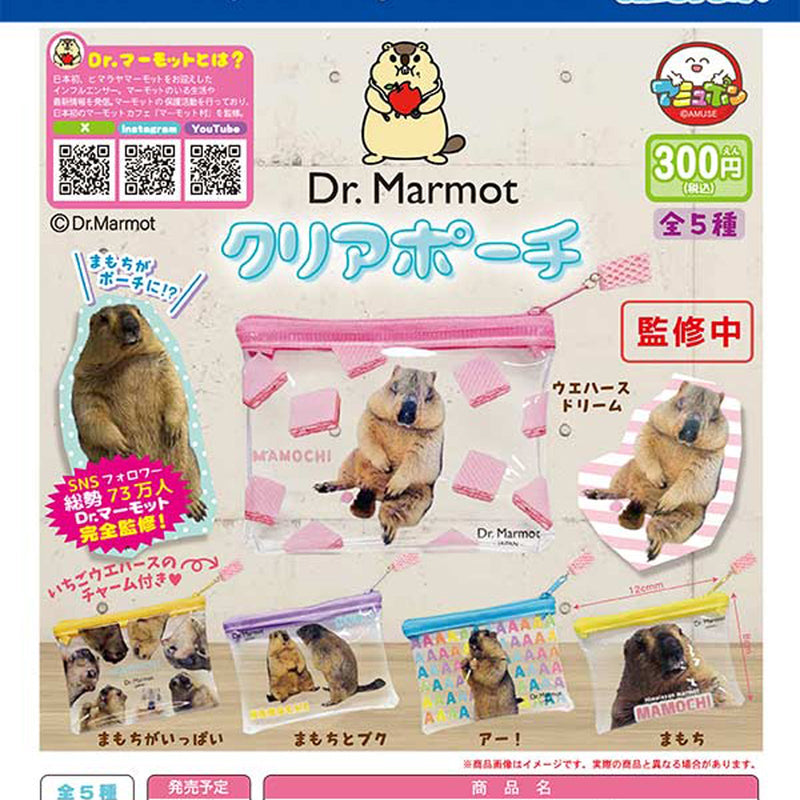 Dr. Marmot Clear Pouch - 40pc assort pack [Pre Order January 2026]