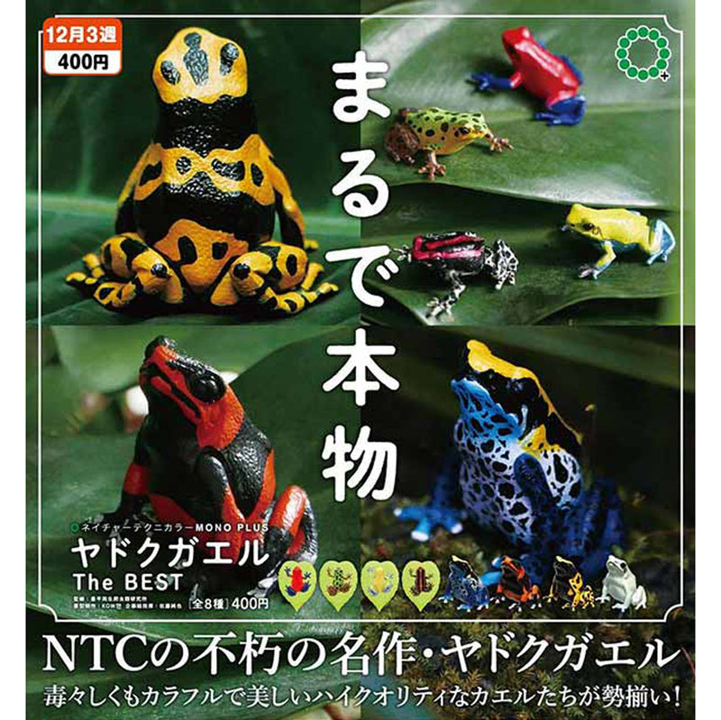 NTC MONO+ Poison Dart Frog - 30pc assort pack [Pre Order January 2026]