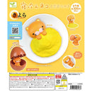 Sleeping Cold Cat Kiyonya - 40pc assort pack