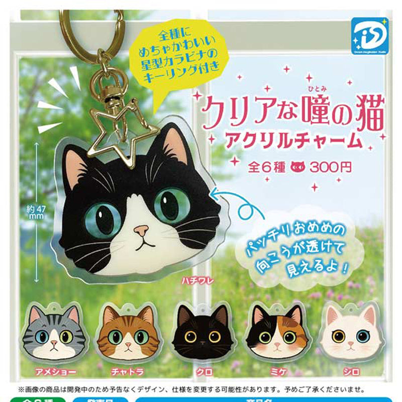 Clear Eyes Cat Acrylic Charm - 40pc assort pack [Pre Order January 2026]