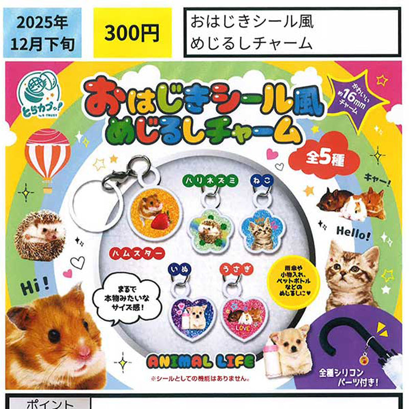 Ohajiki Sticker Style Eyecatch Charm - 40pc assort pack [Pre Order January 2026]