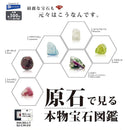 Real Gem Dictionary - 40pc assort pack [Pre Order January 2026][2nd Chance]