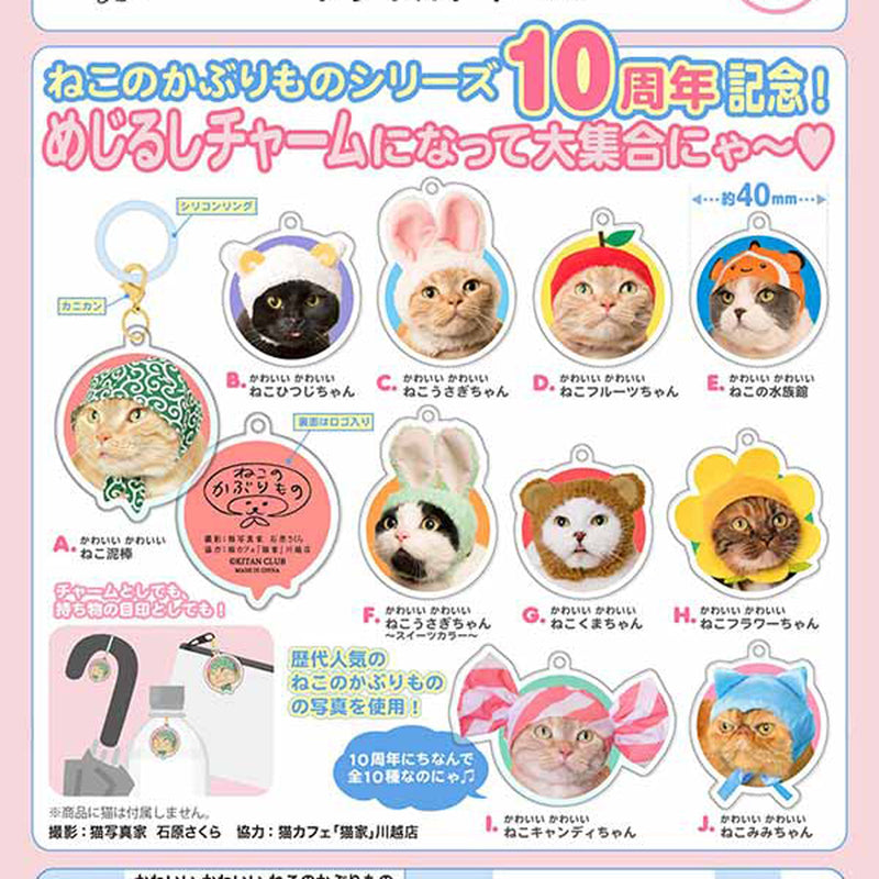 Kawaii Kawaii Cat Costume Acrylic Charm - 40pc assort pack [Pre Order January 2026]