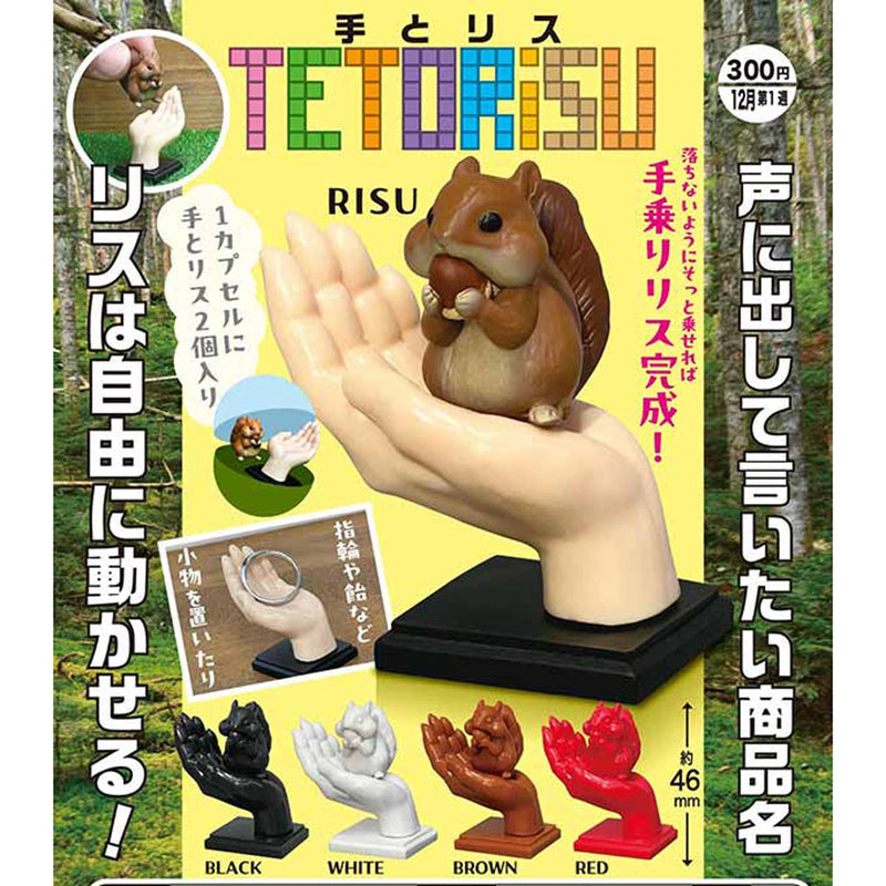 Hand and Squril - 40pc assort pack [Pre Order January 2026]