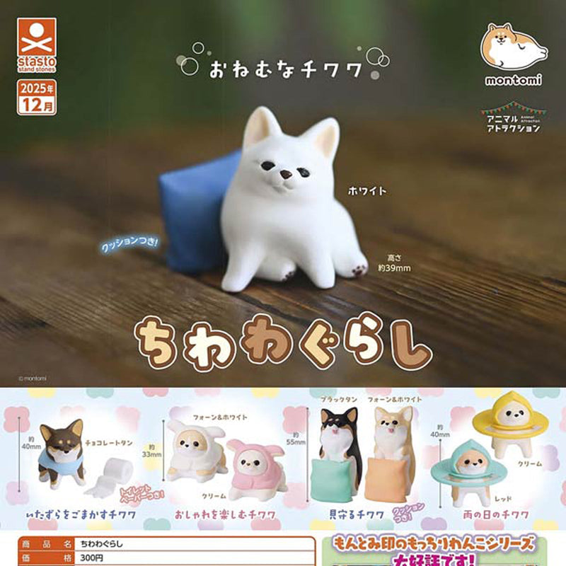 Chiwawa Life - 40pc assort pack [Pre Order January 2026]