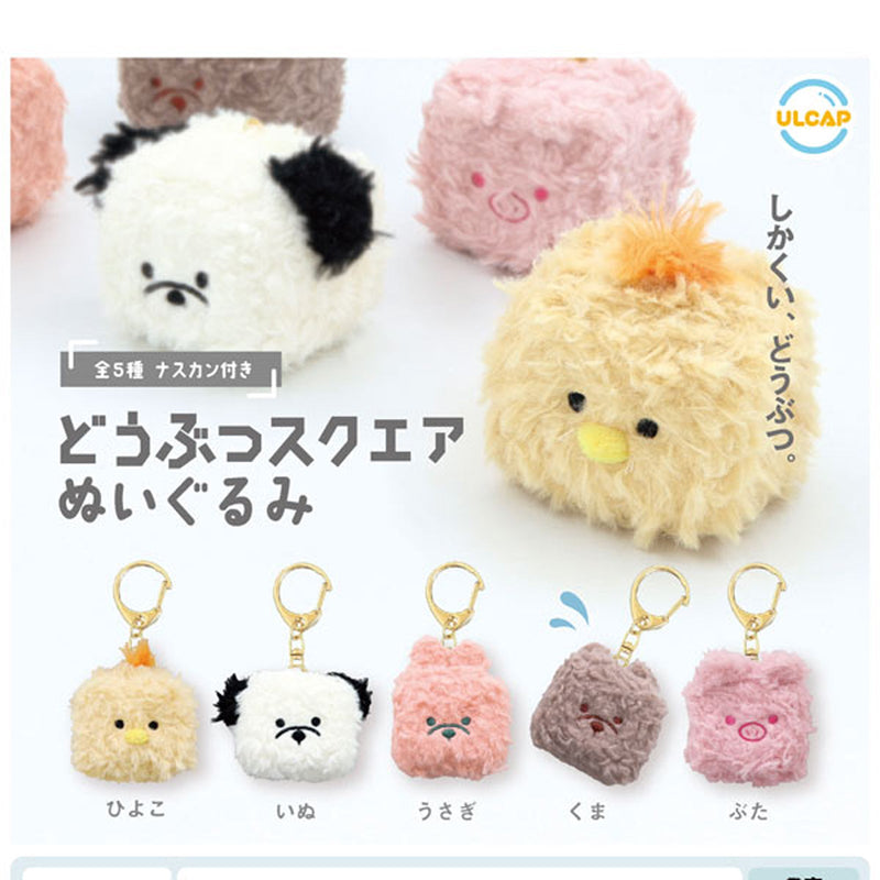 Animal Square Stuffed Toy - 30pc assort pack [Pre Order January 2026]