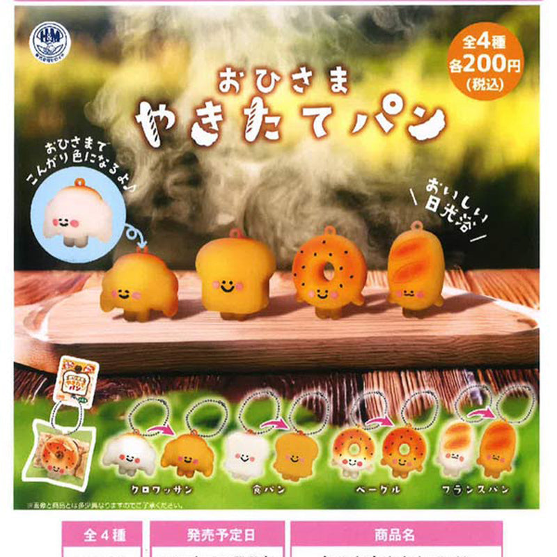 Sunny Just Baked Bread - 50pc assort pack [Pre Order January 2026]