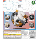 Panda Hole Gyuu Gyuu - 20pc assort pack