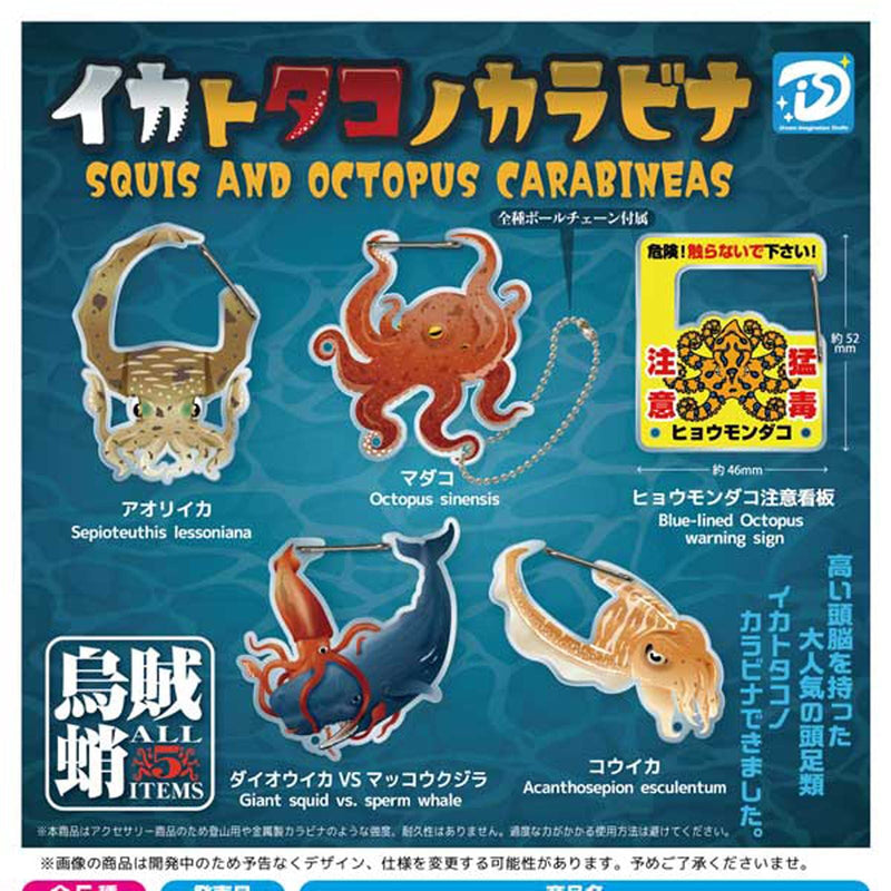 Squid Octopus Carabiner - 30pc assort pack [Pre Order February 2026][2nd Chance]