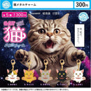 Cat Metal Charm - 40pc assort pack [Pre Order February 2026][2nd Chance]