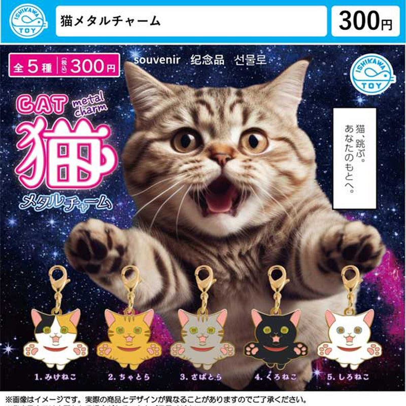 Cat Metal Charm - 40pc assort pack [Pre Order February 2026][2nd Chance]