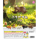 Baby Bear Resting on the Edge - 50pc assort pack [Pre Order February 2026][2nd Chance]