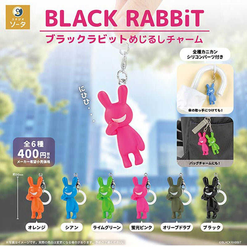 BLACK RABBiT Eyecatch Charm - 30pc assort pack [Pre Order February 2026][2nd Chance]