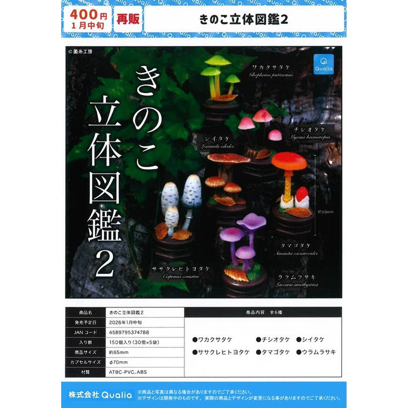 Mushroom 3D Dictionary - 30pc assort pack [Pre Order February 2026][2nd Chance]