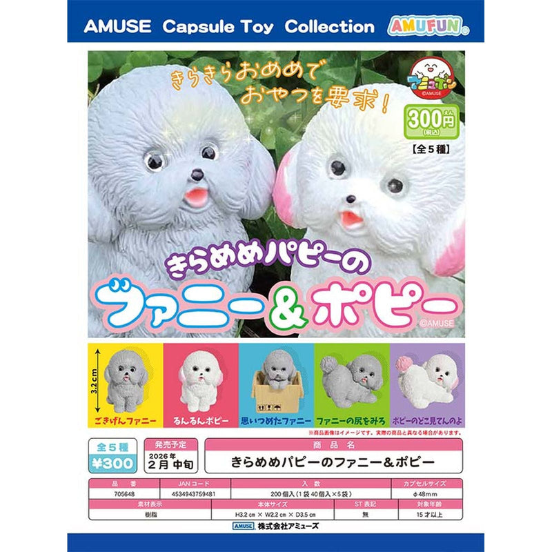 Glitter Eyes Puppy Fanny & Poppy - 40pc assort pack [Pre Order March 2026]