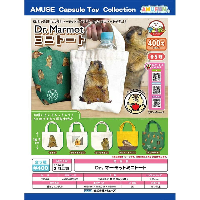 Cr. Marmot Mini Tote - 30pc assort pack [Pre Order March 2026]