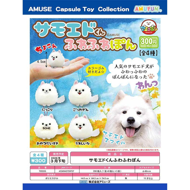 Samoed-kun Fuwa Fuwa Pon - 40pc assort pack [Pre Order March 2026]