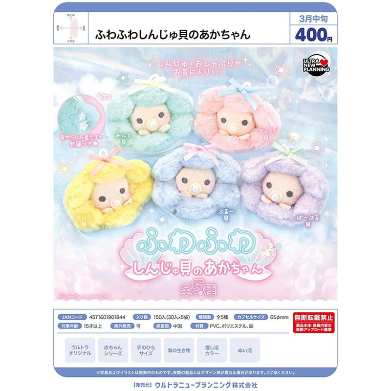 Fuwa Fuwa Pearl Clam Baby - 30pc assort pack [Pre Order March 2026]