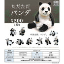 Just Panda - 50pc assort pack [Pre Order March 2026]
