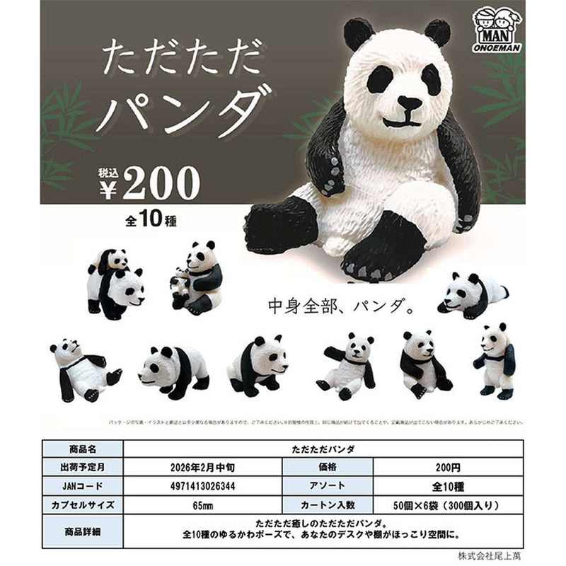 Just Panda - 50pc assort pack [Pre Order March 2026]