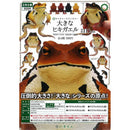 NTC Big Toad - 20pc assort pack [Pre Order March 2026]