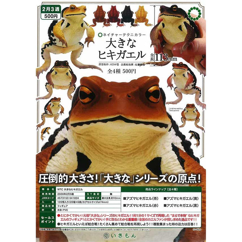 NTC Big Toad - 20pc assort pack [Pre Order March 2026]