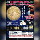 STC Getsurei Glow Eyecatch Mascot - 40pc assort pack [Pre Order April 2026][2nd Chance]