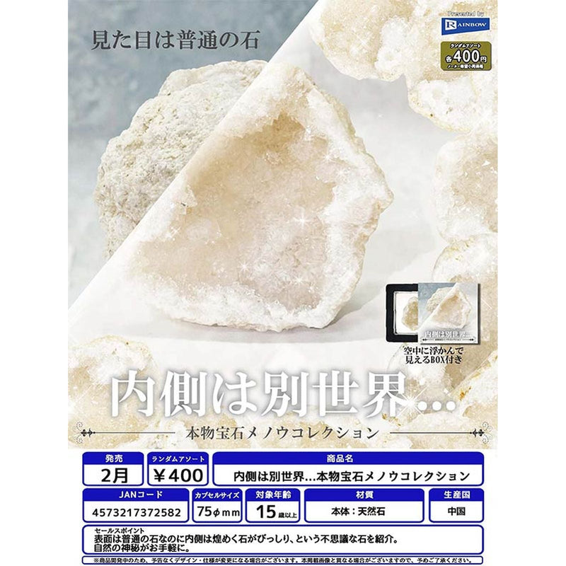 Inside is a Different World Realistic Jewel Menou Collection - 30pc assort pack [Pre Order March 2026]