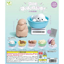 Growing Today Too! Aquarium - 40pc assort pack