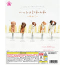 Together Sleeping Cat - 40pc assort pack [Pre Order March 2026]