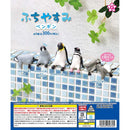 Penguin Resting on the Edge - 40pc assort pack [Pre Order March 2026]