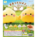 Marutto Hiyoko - 40pc assort pack