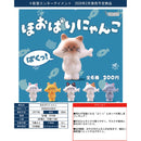 Hoobari Cat - 50pc assort pack [Pre Order March 2026]