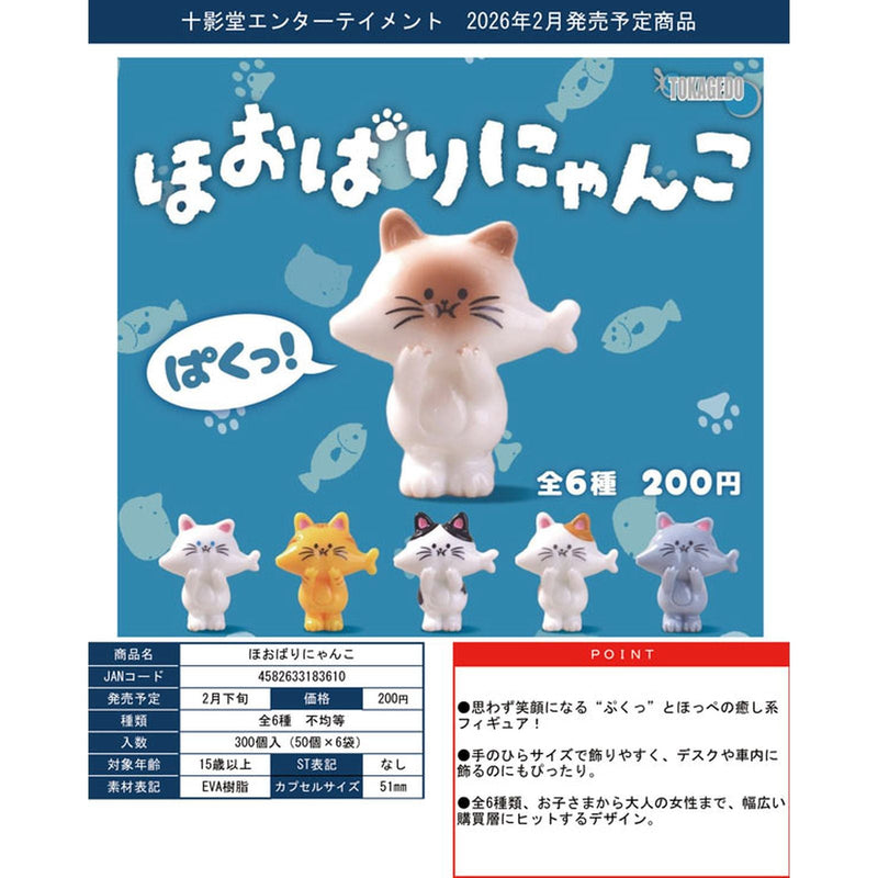 Hoobari Cat - 50pc assort pack [Pre Order March 2026]