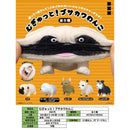 Mugyutto! Busa Kawa Dog - 40pc assort pack [Pre Order March 2026]
