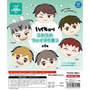 Haikyu!! Fluffy Face Kinchaku vol.2 - 30pc assort pack [Pre Order March 2026]