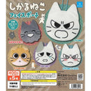 Shikaru Neko Face Pouch - 30pc assort pack