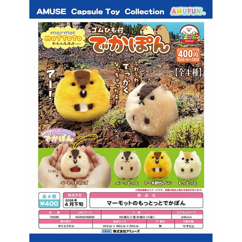 Marmot Mototto Dekapon - 30pc assort pack [Pre Order April 2026]