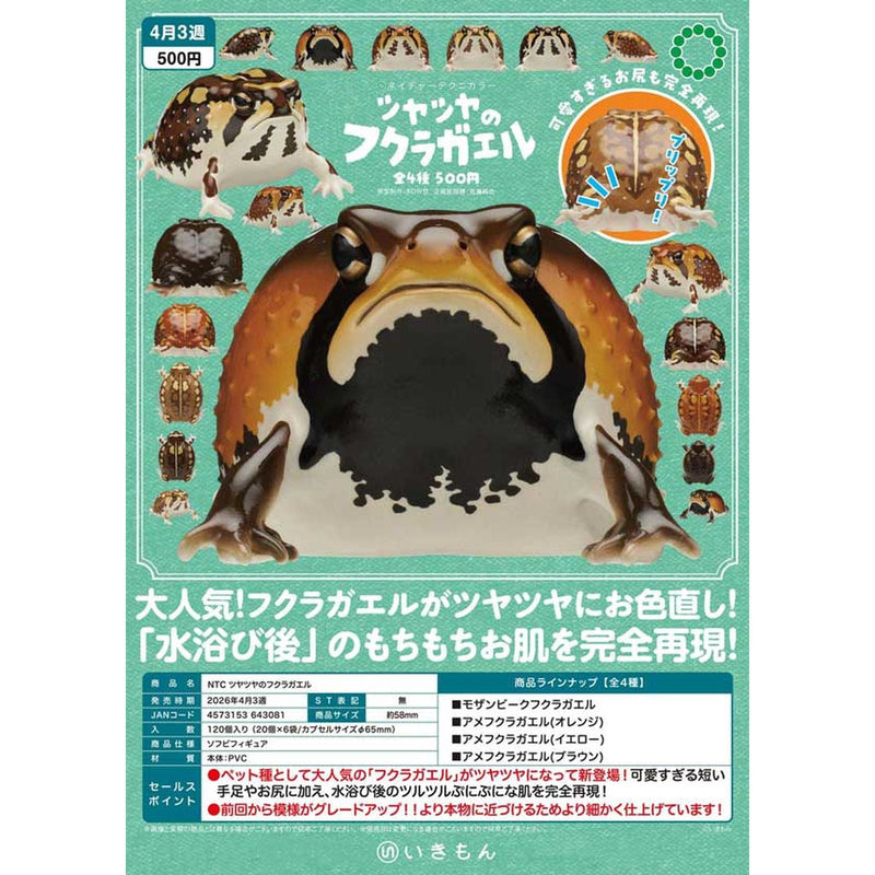 NTC Glitter Rain Frog - 20pc assort pack [Pre Order April 2026]