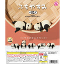 Fuchiyasumi Panda - 50pc assort pack [Pre Order May 2026]