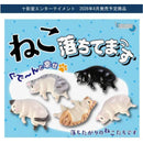 Dropped Cat - 50pc assort pack [Pre Order May 2026]