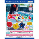 Hibiscus Nostalgic Clip - 50pc assort pack