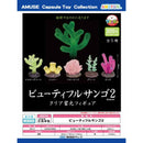 Beautiful Coral - 40pc assort pack