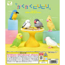 Kaku Kaku Tori Tori - 50pc assort pack