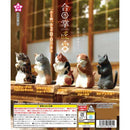 Gassho Takumi Nekohai - 40pc assort pack