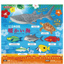 Warm Ocean 3D Dictionary - 40pc assort pack