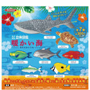3D Dictionary Warm Ocean - 40pc assort pack [Pre Order June 2026][2nd Chance]