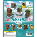 Bath Love Capibara Stuffed Toy - 30pc assort pack [Pre Order June 2026][2nd Chance]